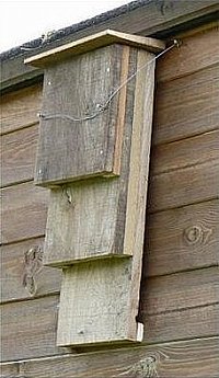 kentbox-wall.jpg