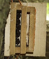 kentbox-inside.jpg